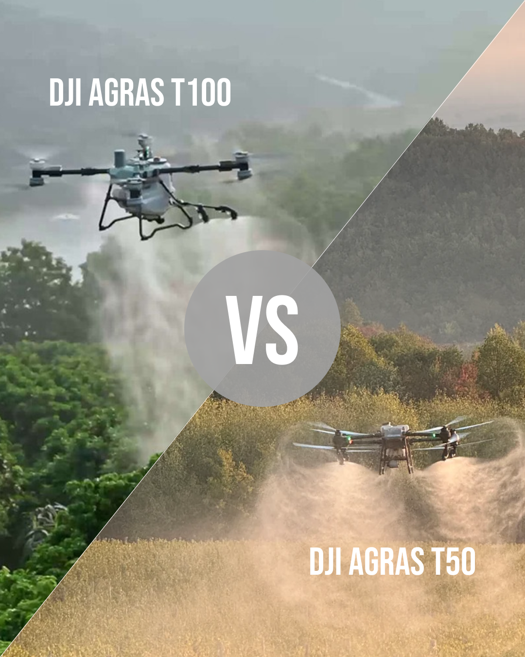 DJI Agras T50: De ce rămâne cea mai fiabilă alegere în fața modelului T100?