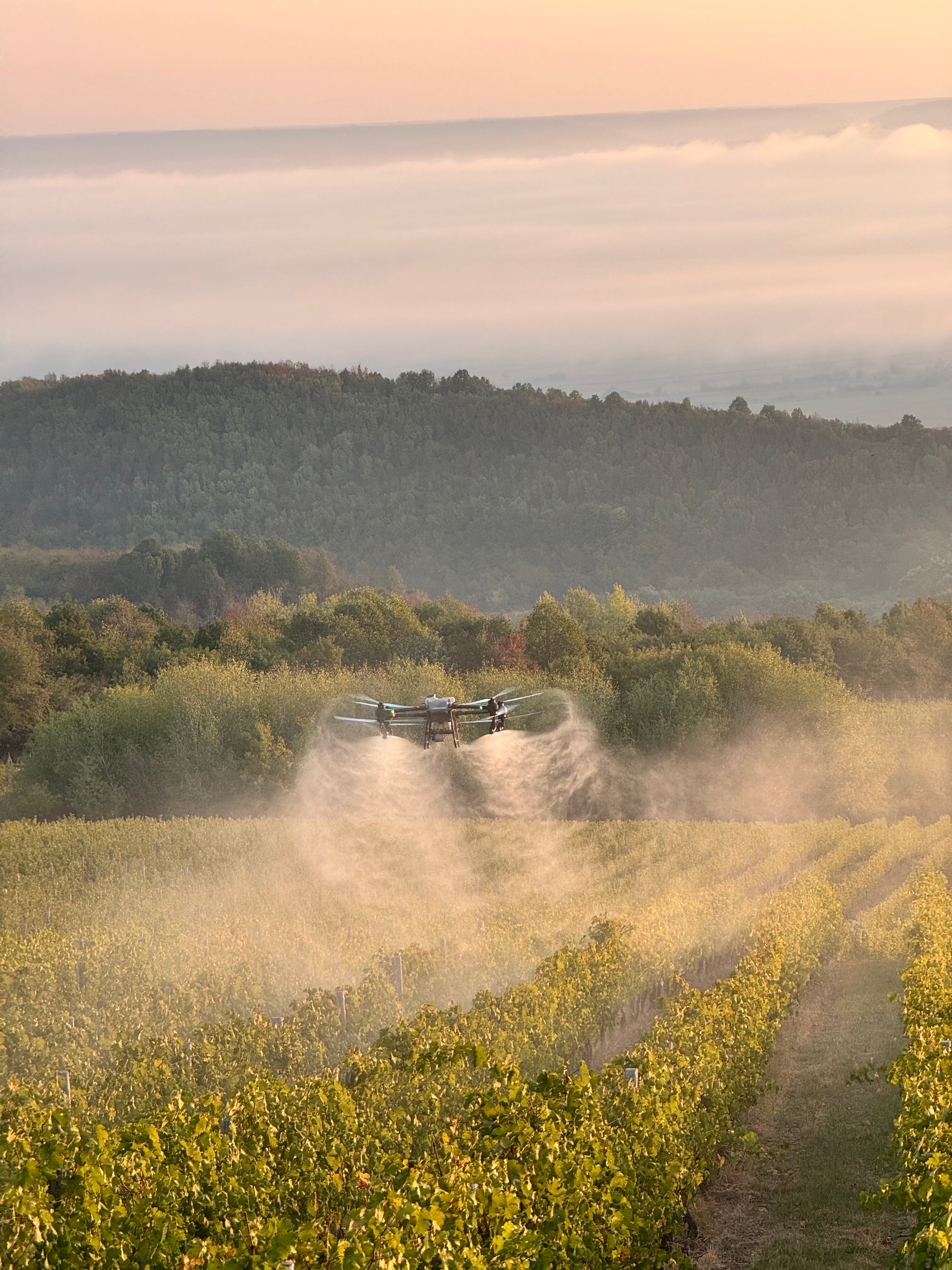 Drona Agricolă - DJI Agras T50 - Generator FLY MORE COMBO Total