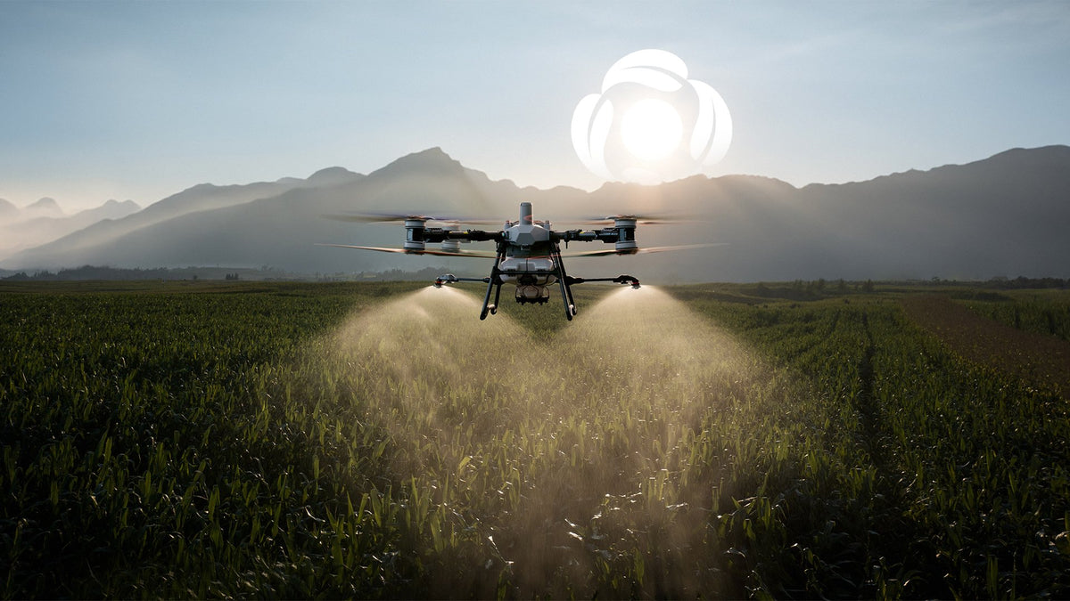 DJI Agras T100 pulverizând la apus