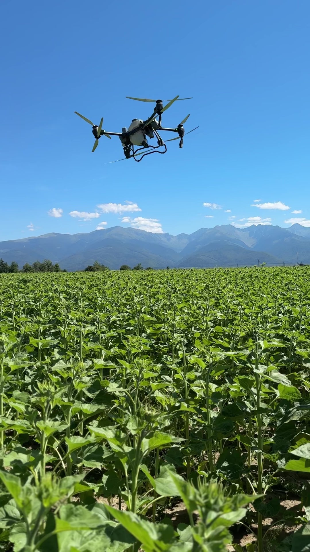 Drona Agricolă - DJI Agras T50