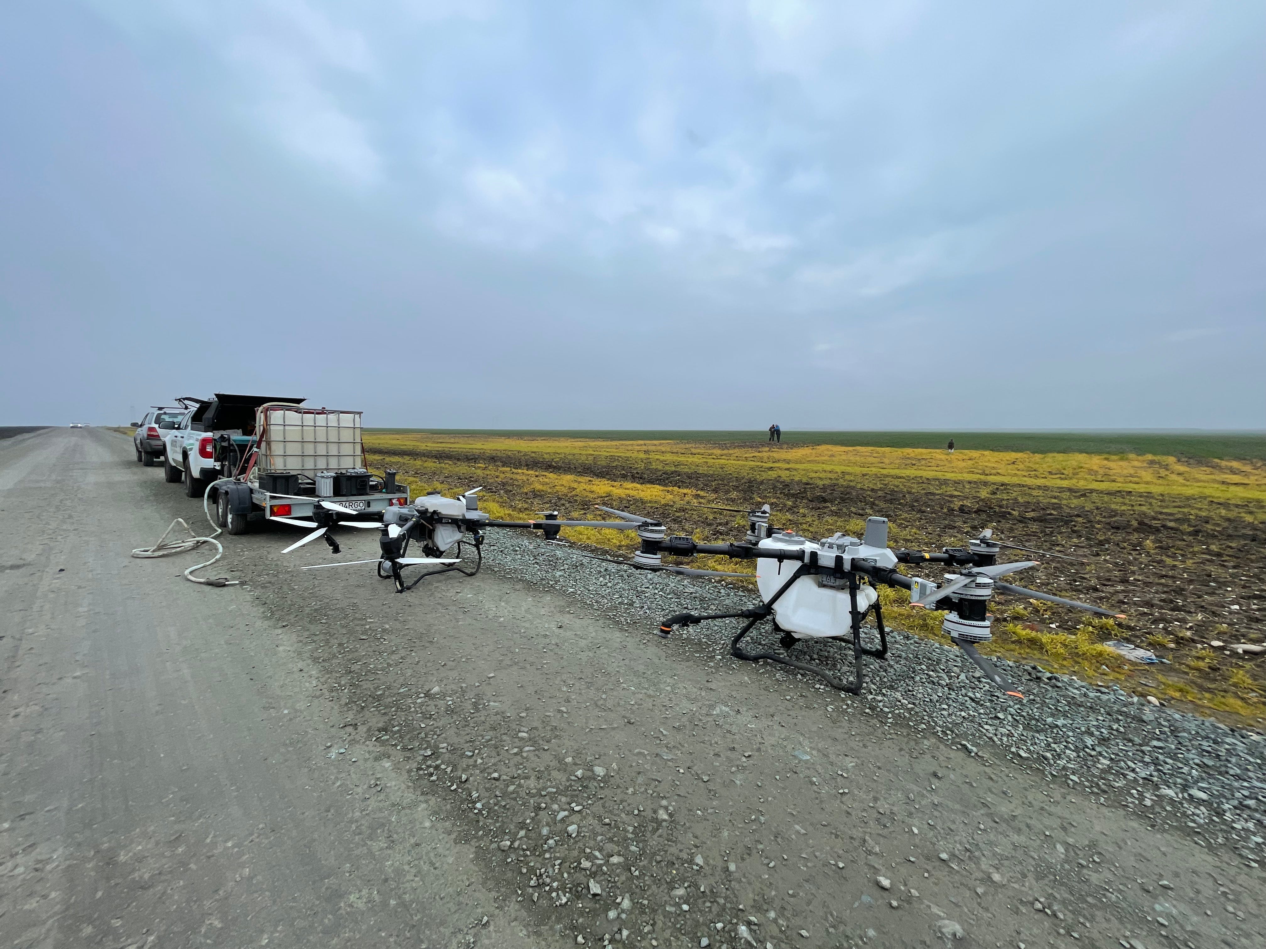 DJI Agras T100 vs T50: Test de Viteză în Câmp Deschis la Grâu (Urziceni 2025)