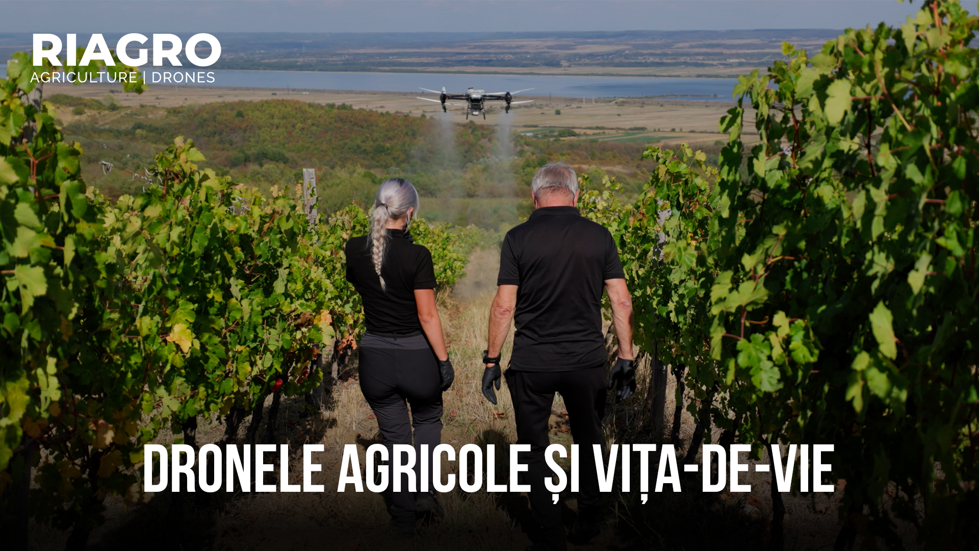 Load video: Primul studiu de caz cu drone agricole din Europa la cultura de vita de vie