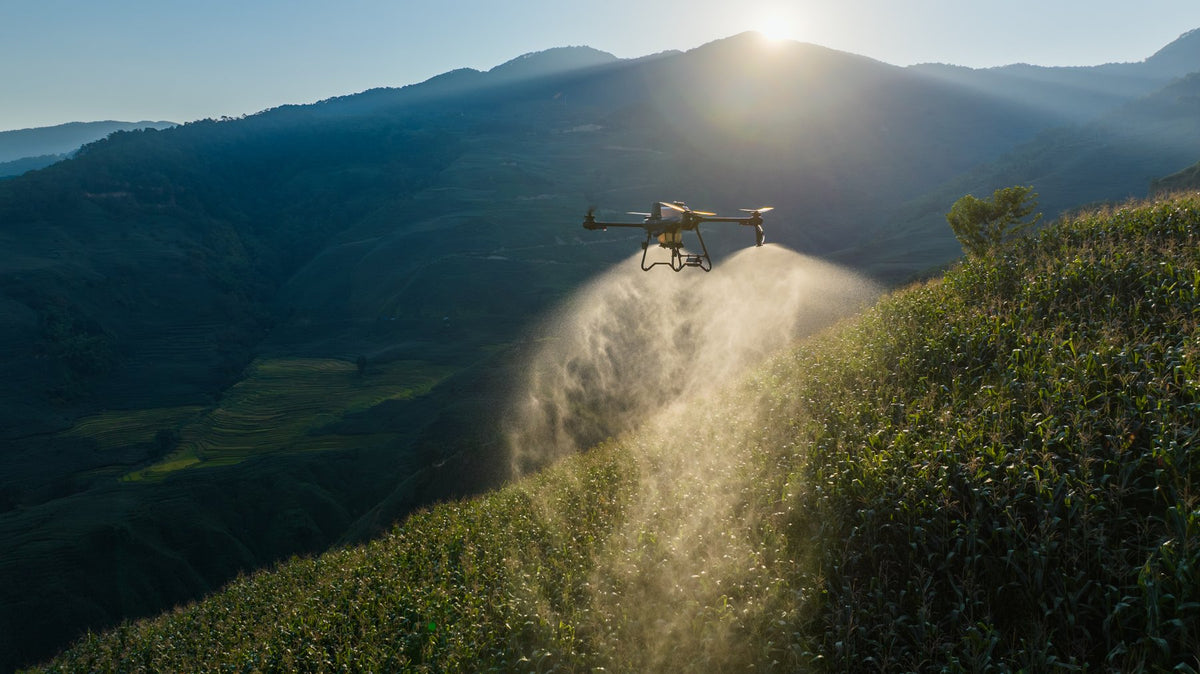 DJI Agras T50 pulverizând în câmp